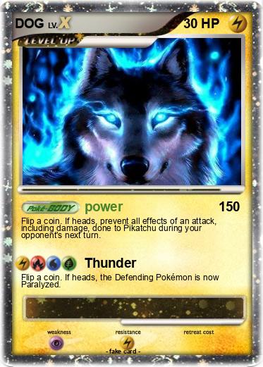 Pokemon DOG