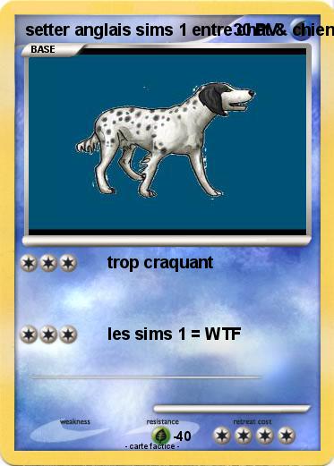 Pokemon setter anglais sims 1 entre chat & chien