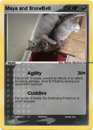 Pokemon Maya and SnowBell