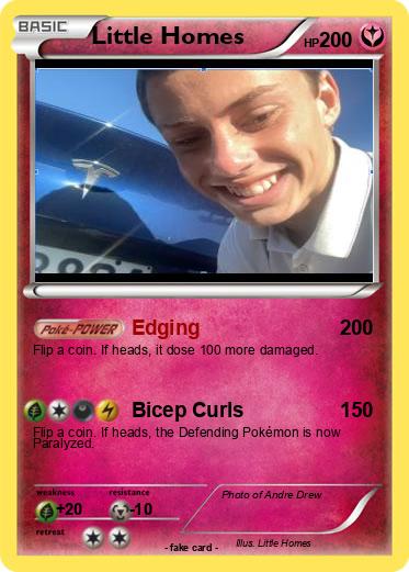 Pokemon Little Homes