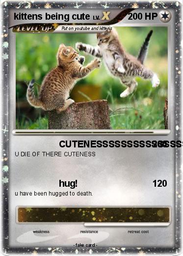 Pokemon kittens being cute