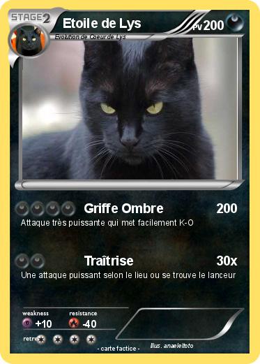 Pokemon Etoile de Lys