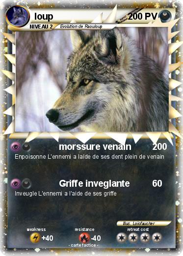 Pokemon loup
