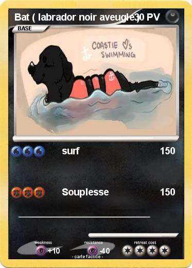 Pokemon Bat ( labrador noir aveugle )