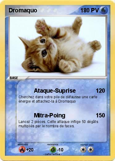 Pokemon Dromaquo