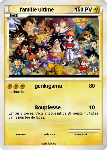 Pokemon famille ultime