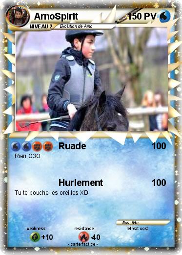 Pokemon ArnoSpirit
