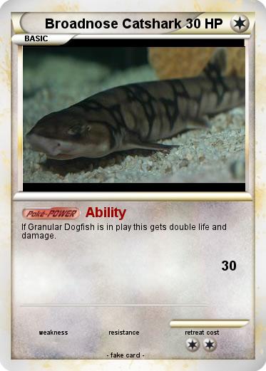 Pokemon Broadnose Catshark