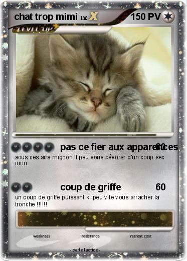 Pokemon chat trop mimi
