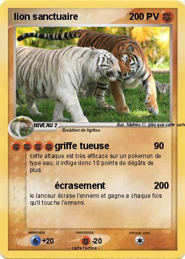 Pokemon lion sanctuaire