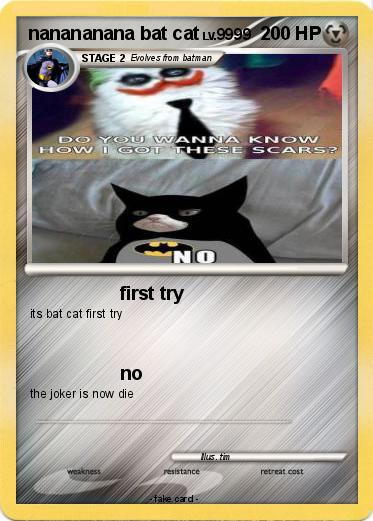 Pokemon nanananana bat cat
