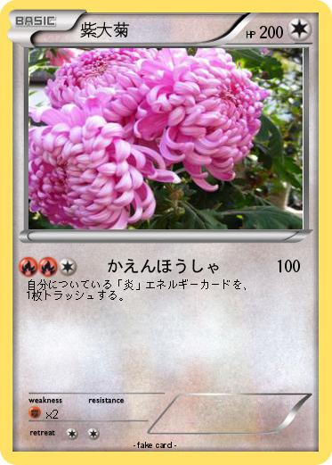 Pokemon 紫大菊