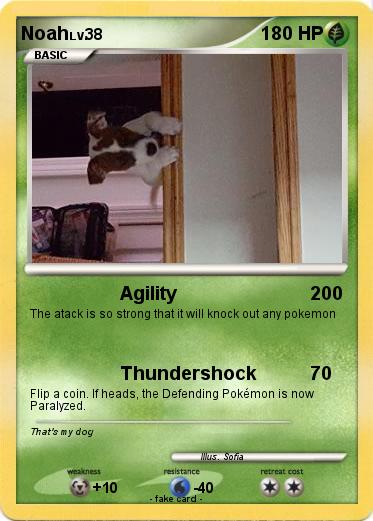 Pokemon Noah