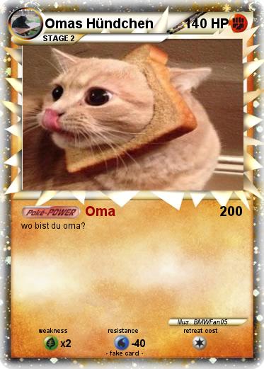 Pokemon Omas Hündchen