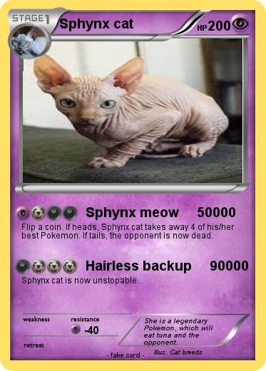Pokemon Sphynx cat