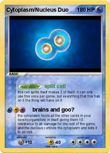 Pokemon Cytoplasm/Nucleus Duo