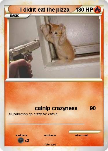 Pokemon I didnt eat the pizza
