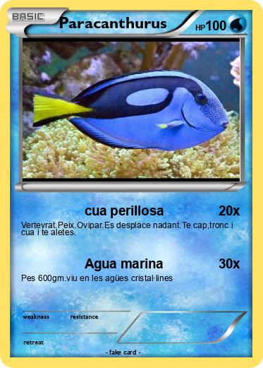 Pokemon Paracanthurus