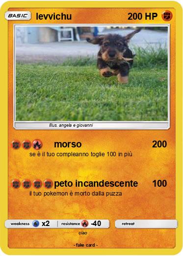 Pokemon levvichu