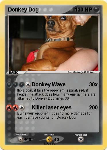 Pokemon Donkey Dog