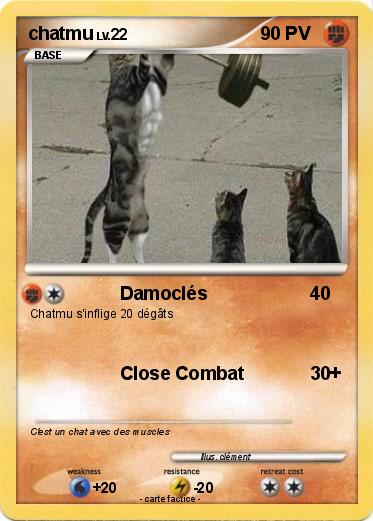 Pokemon chatmu