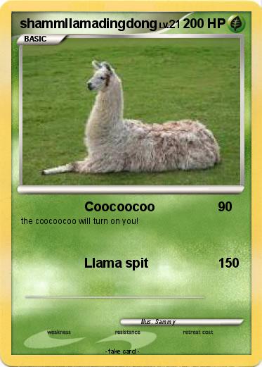 Pokemon shammllamadingdong