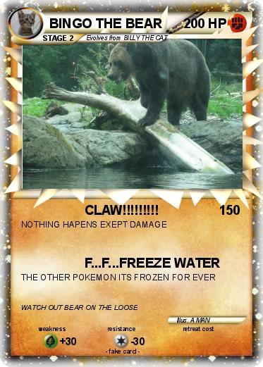 Pokemon BINGO THE BEAR