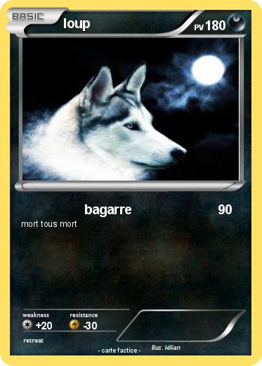 Pokemon loup