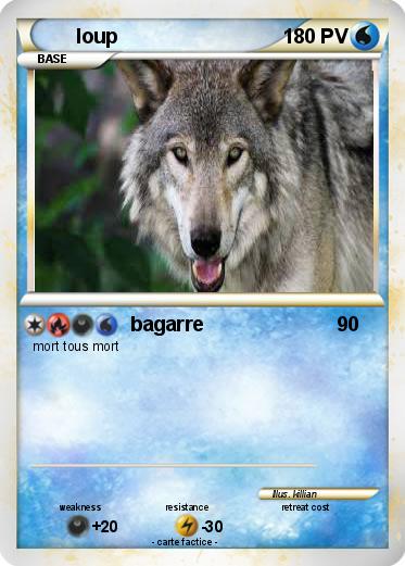 Pokemon loup