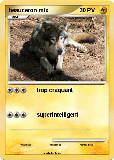 Pokemon beauceron mix