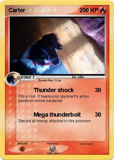 Pokemon Carter