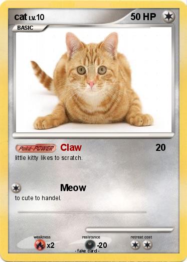 Pokemon cat