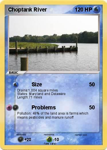 Pokemon Choptank River