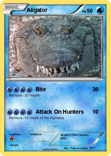 Pokemon Aligator