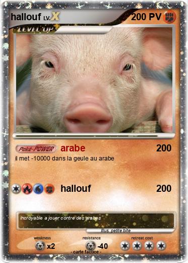 Pokemon hallouf