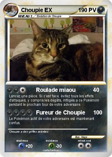 Pokemon Choupie EX