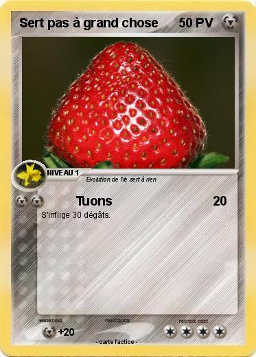 Pokemon Sert pas à grand chose