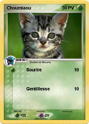 Pokemon Choumiaou