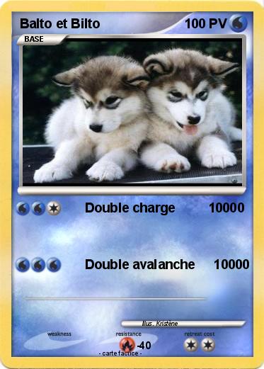 Pokemon Balto et Bilto
