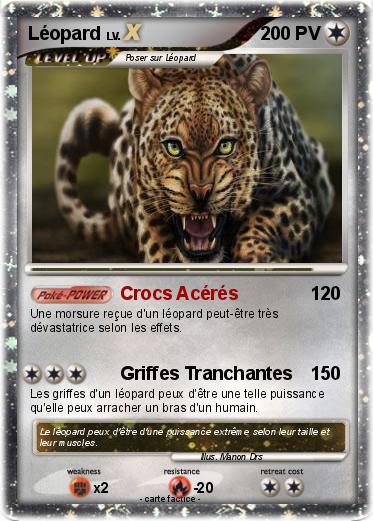 Pokemon Léopard
