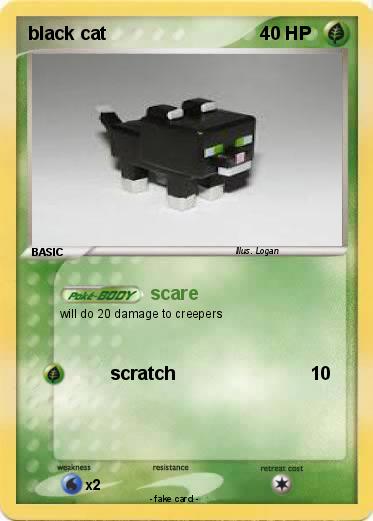 Pokemon black cat