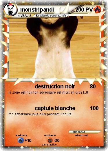 Pokemon monstripandi