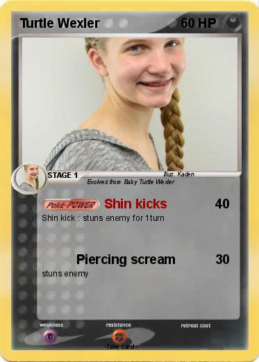 Pokemon Turtle Wexler