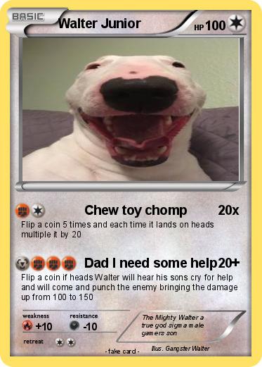 Pokemon Walter Junior