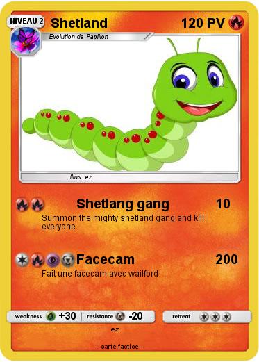 Pokemon Shetland