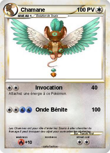Pokemon Chamane
