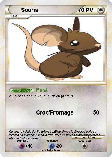Pokemon Souris