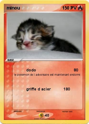 Pokemon minou