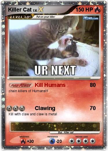 Pokemon Killer Cat