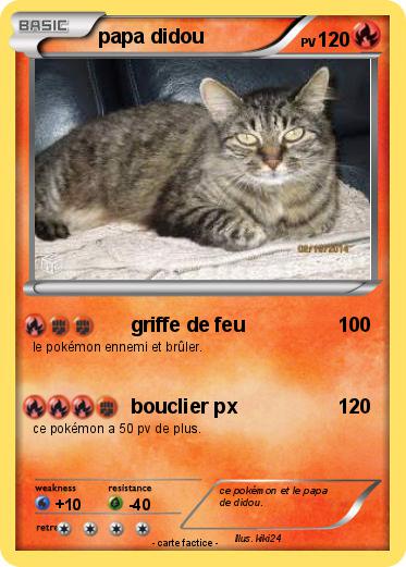 Pokemon papa didou